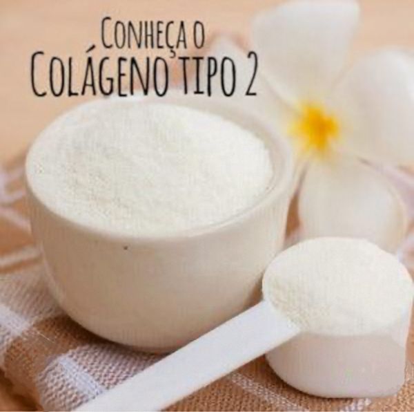 Colageno Tipo 2 - A Granel 100g.