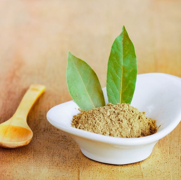 Louro em Pó 100g. - A Granel